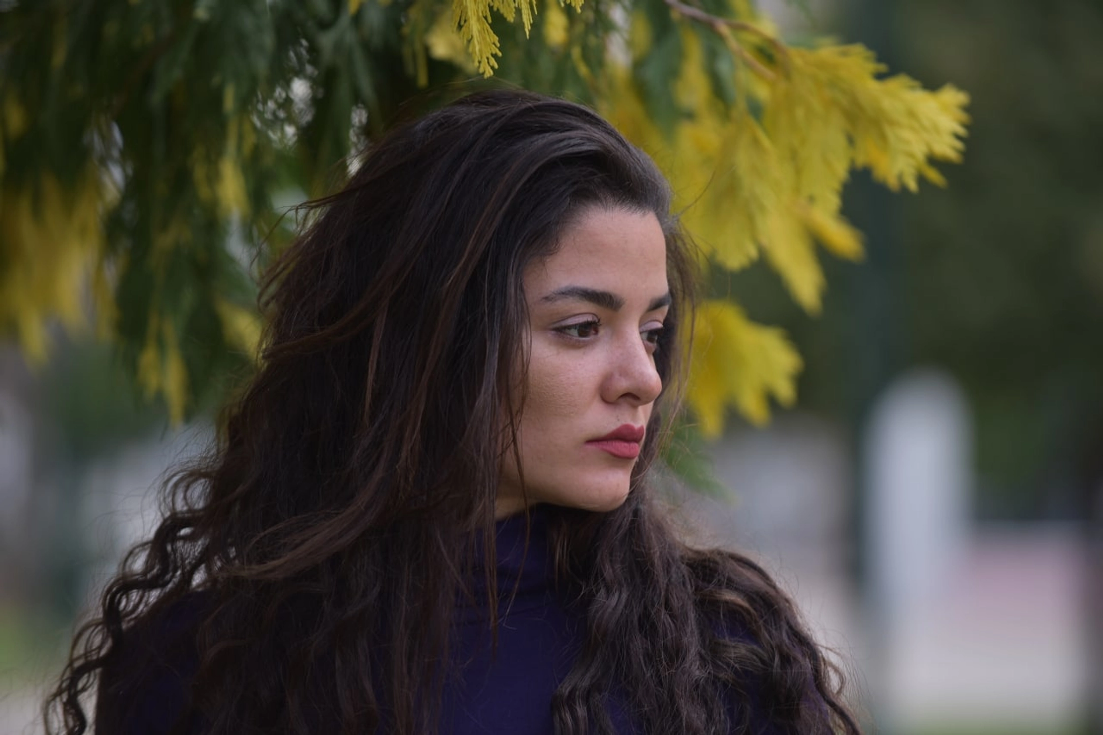 SHAGHAYEGH FARHANG