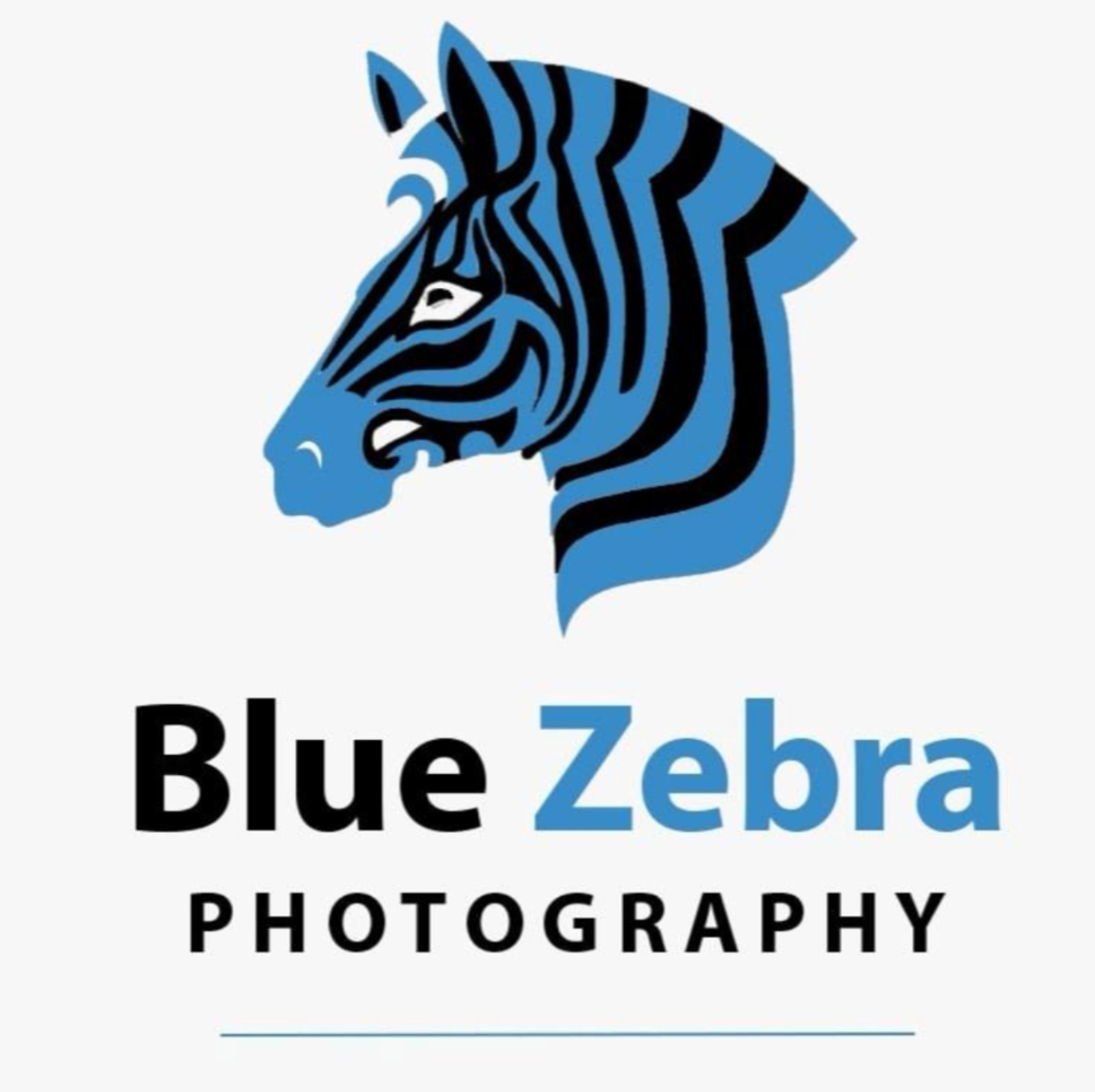 Blue Zebra Photography