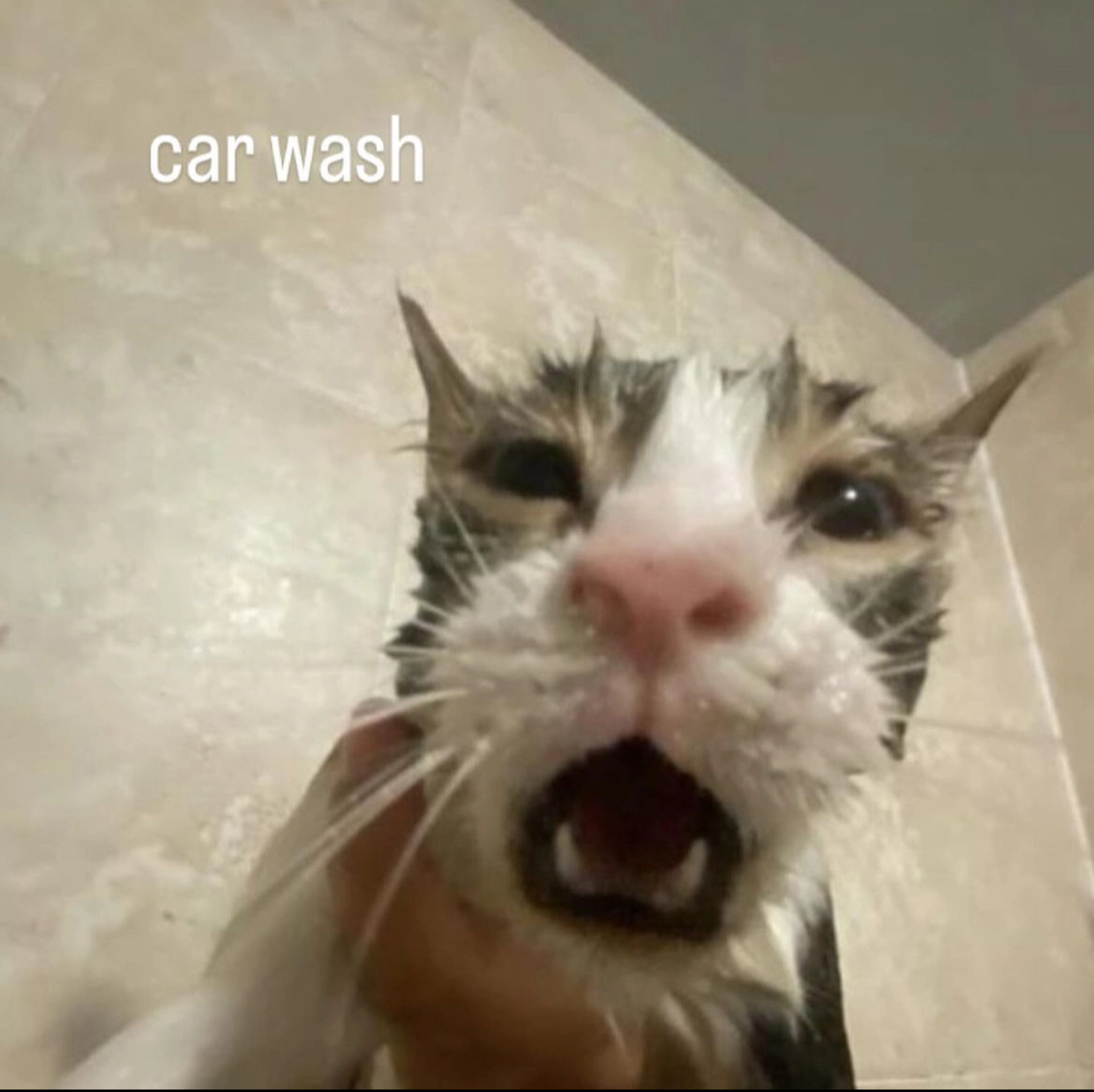 xX$ūbń!čkXx