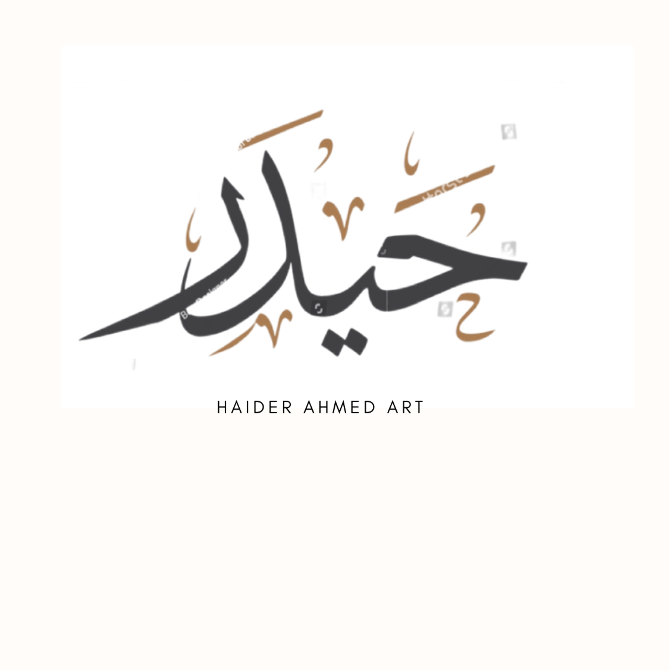 Haider Ali Ahmed