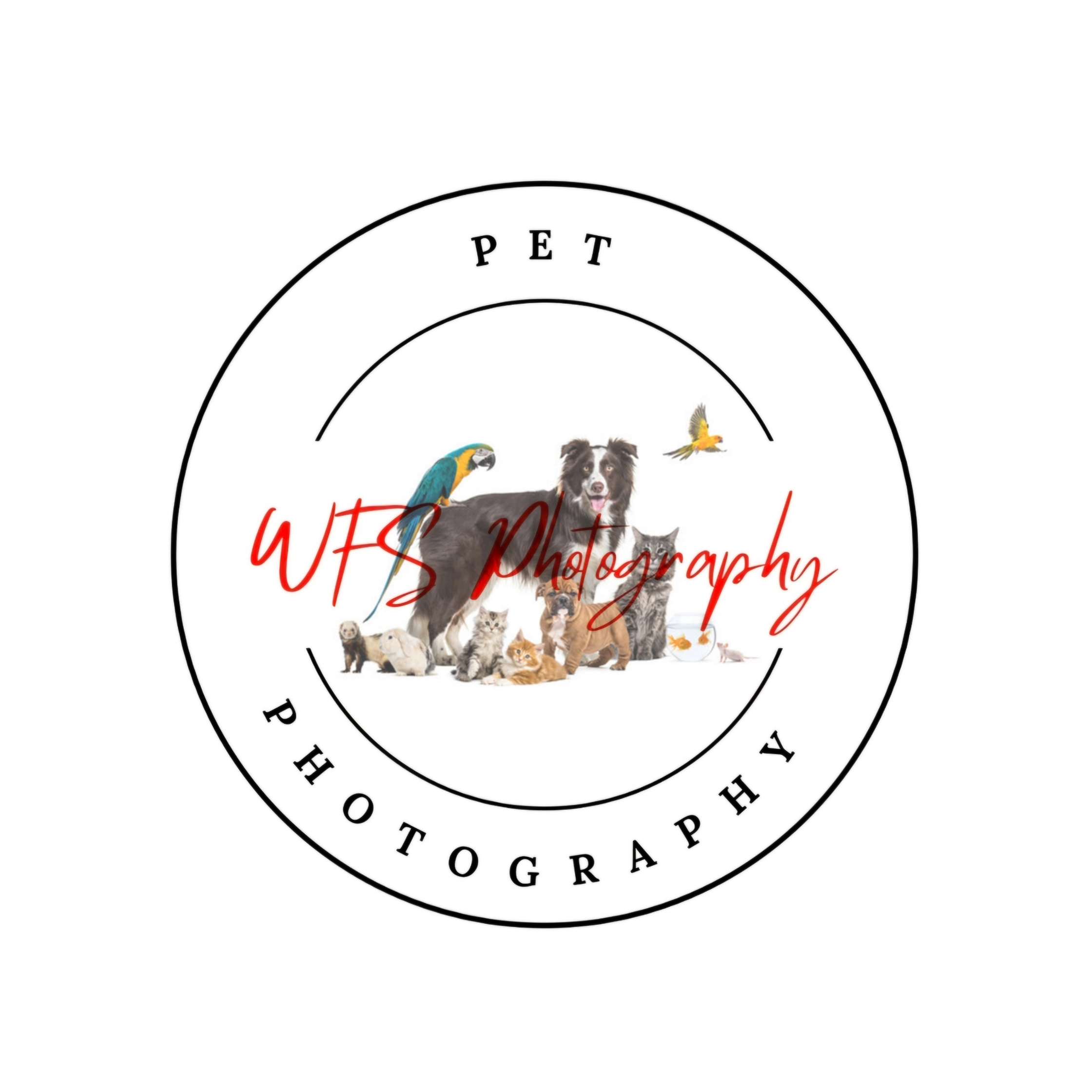 WFS Photography