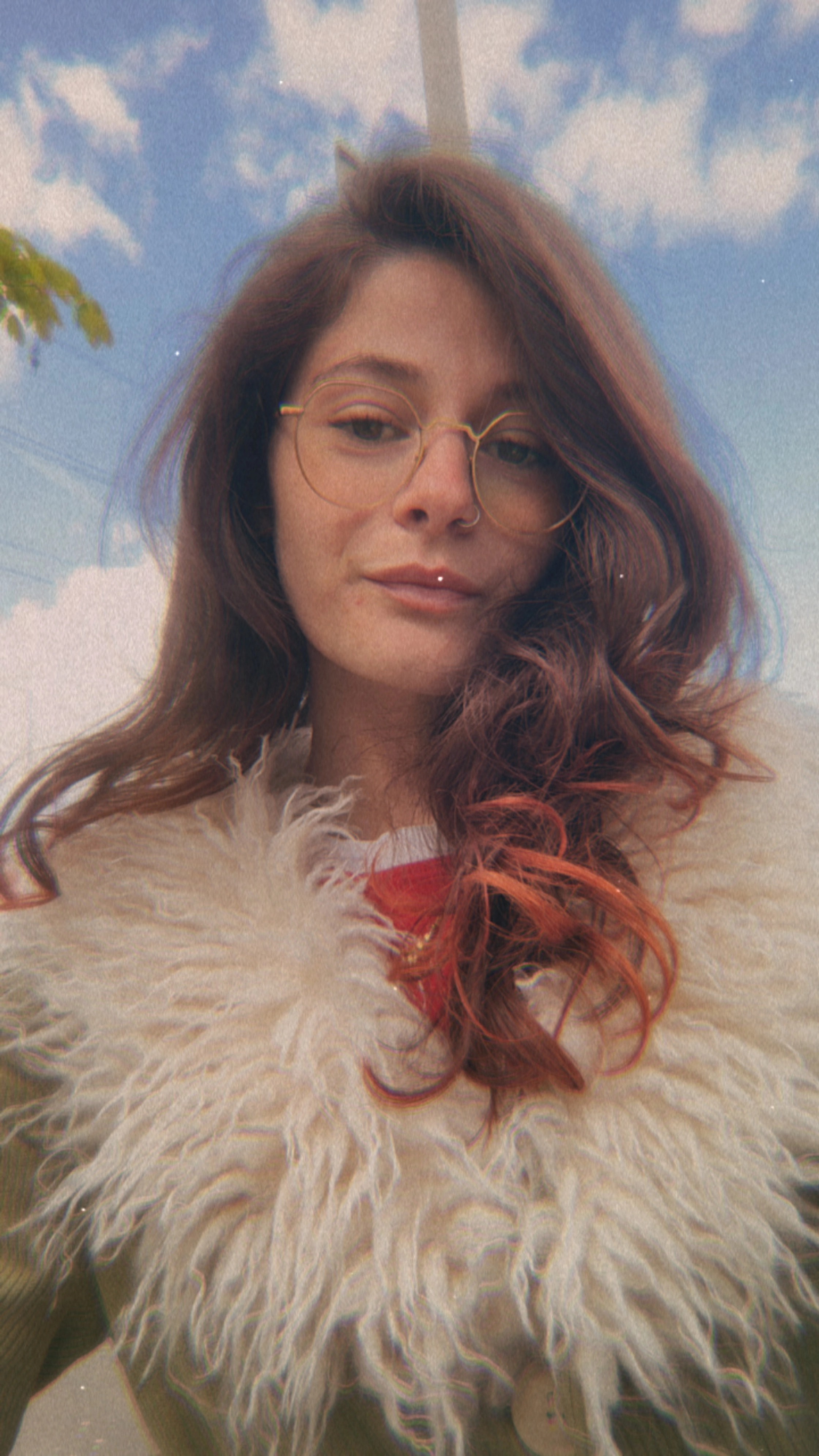 Cecilia Dibenedetto